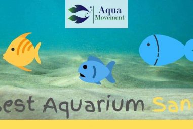 Best Aquarium Sand for Freshwater and Saltwater Reviewed