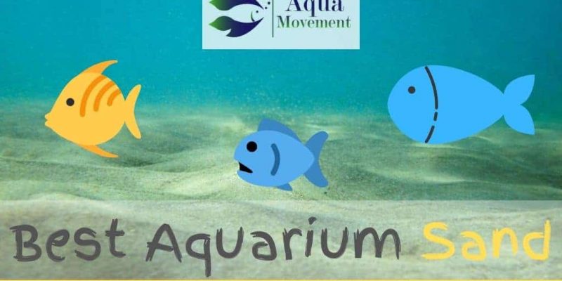 Best Aquarium Sand for Freshwater and Saltwater Reviewed