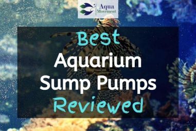 6 Best Aquarium Sump Pumps in 2023