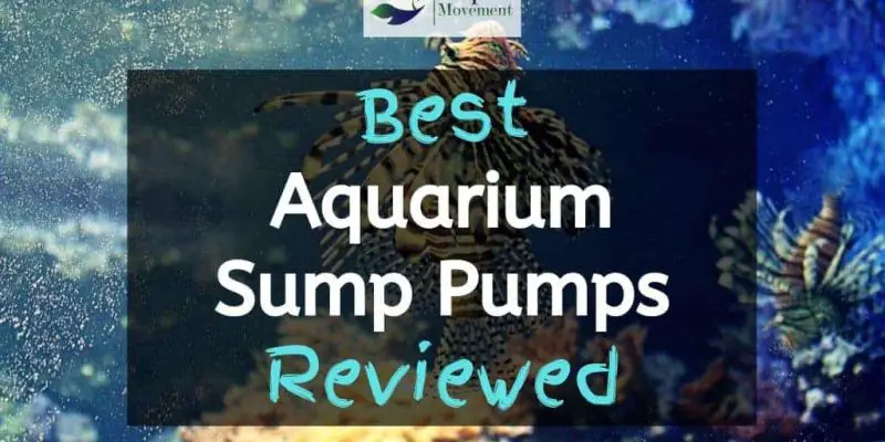 6 Best Aquarium Sump Pumps in 2022