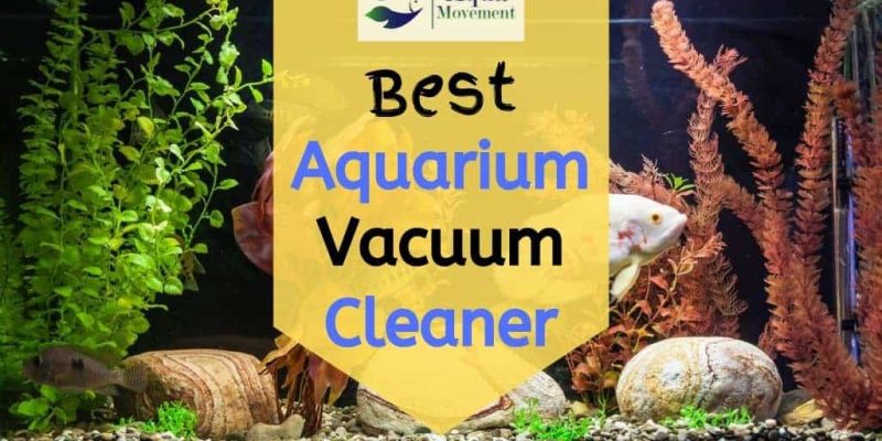 6 Best Aquarium Vacuum Cleaner for Gravel & Sand (2023 Reviews)