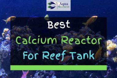 5 Best Calcium Reactors For Reef Tank In 2023