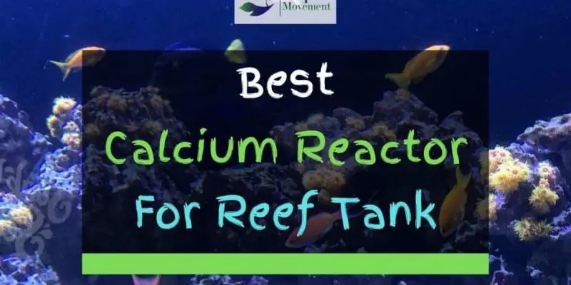 5 Best Calcium Reactors For Reef Tank In 2022