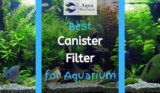 6 Best Aquarium Canister Filter (2023 Reviews)