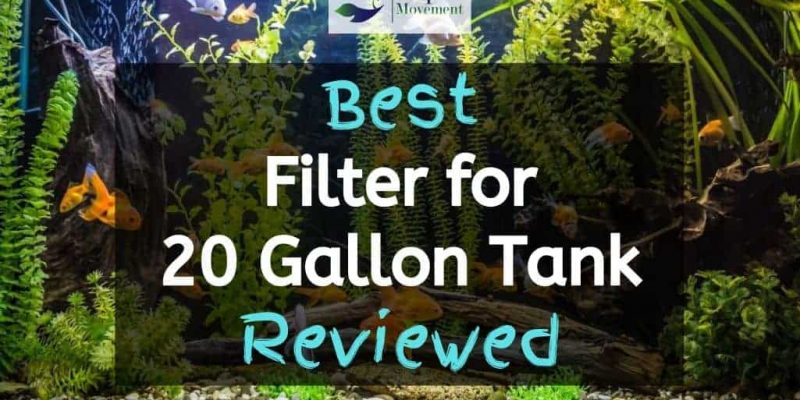 10 Best Filters For 20 Gallon Tank – 2023 Reviews