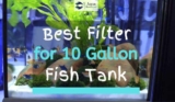 11 Best Filter For 10 Gallon Fish Tank (2023 Reviews)