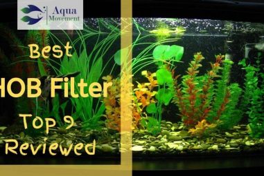 9 Best HOB (Hang On Back) Aquarium Filter (2022 Reviews)