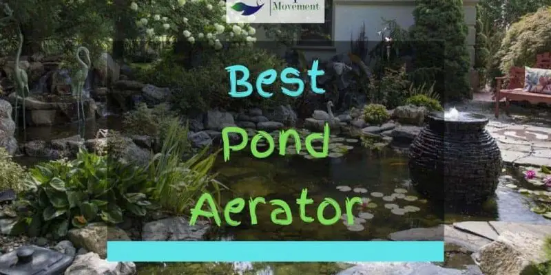 9 Best Pond Aerator For Small And Large Ponds In 2023