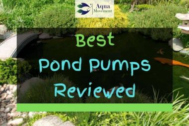 Best Pond Pumps in 2022 – Top 8 Review