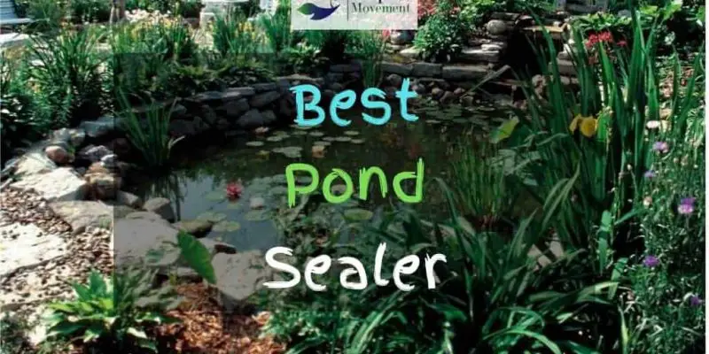 Best Pond Sealer – Top 7 Review