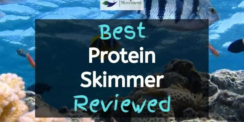 Best Protein Skimmer in 2022 – Top 12 Reviewed