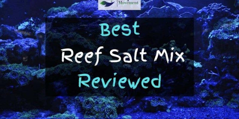 Best Reef Salt Mix – 2022 Reviews