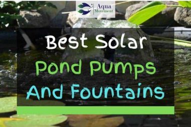 11 Best Solar Pond Pumps and Fountains