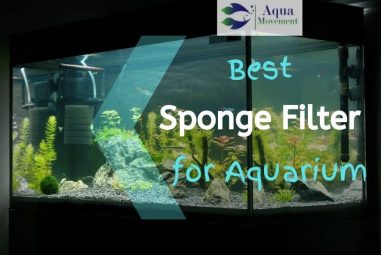 5 Best Sponge Filter For Aquarium (10 gallon – 125 gallon) in 2022