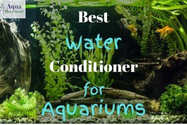 6 Best Water Conditioner for Aquariums (2023 Reviews)