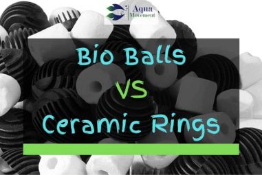 Bio Balls vs Ceramic Rings – Pros And Cons