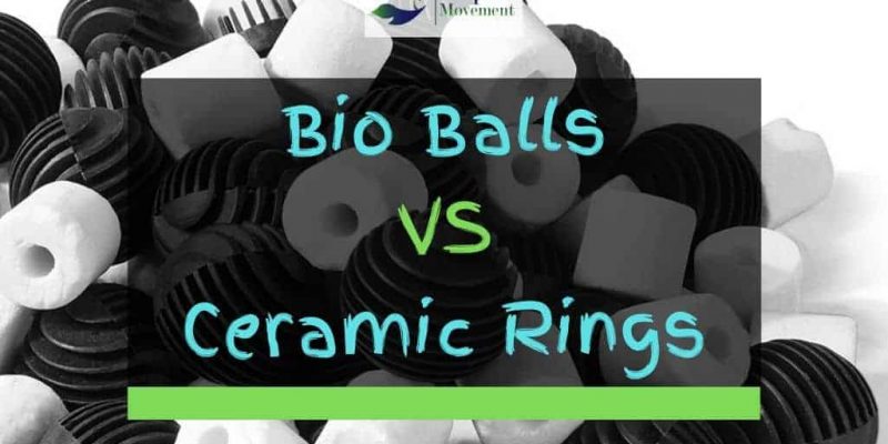 Bio Balls vs Ceramic Rings – Pros And Cons