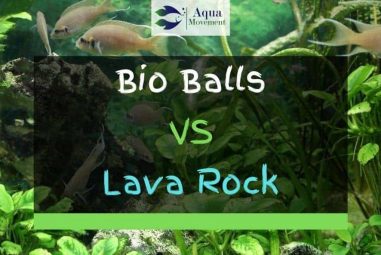 Bio Balls VS Lava Rock