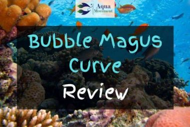 Bubble Magus Curve 5 7 9 Protein Skimmer Review