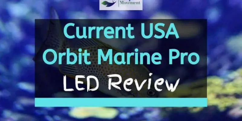 Current USA Orbit Marine Pro LED Review