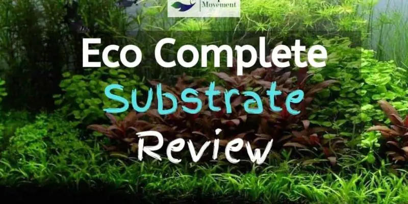 Carib Sea Eco Complete Planted Aquarium Substrate Review