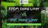Pond Liner: EPDM VS PVC – What’s The Difference?