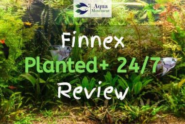 Finnex Planted Plus 24 7 Review