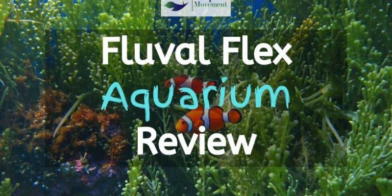 Fluval Flex Review ( 9 and 15 gallon )