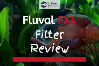 Fluval FX4 Canister Filter Review