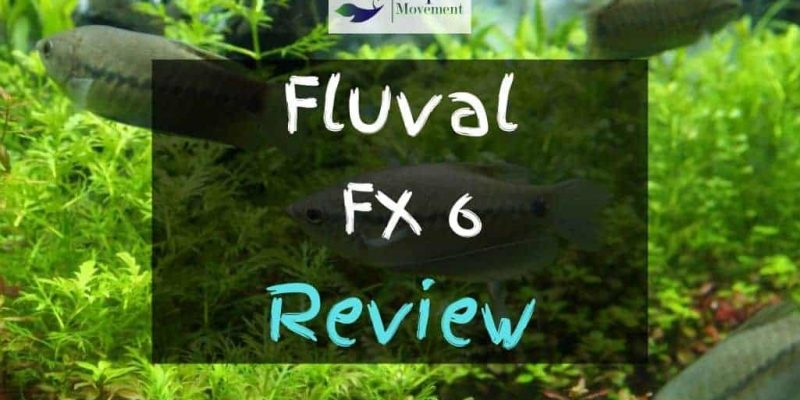 Fluval FX6 Review – Worth the Money?