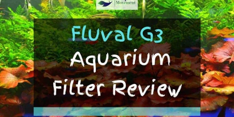 Fluval G3 Filter Review – Worth The Money?