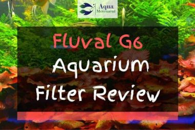 Fluval G6 Filter Review – One Of The Best?