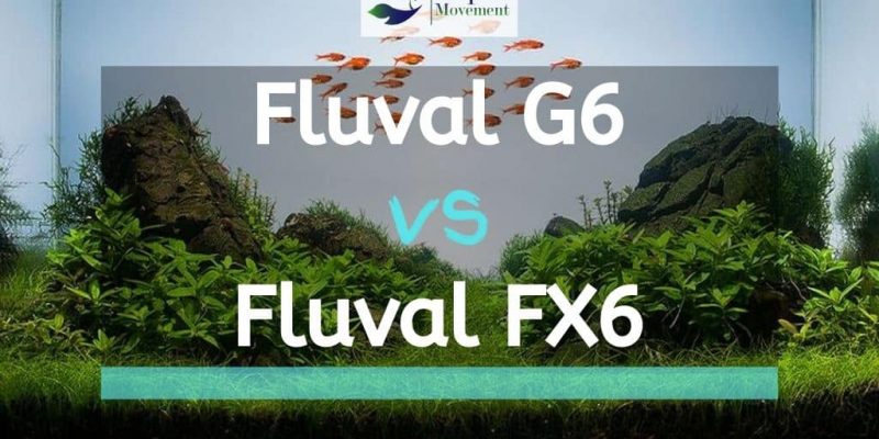 Fluval G6 vs Fluval FX6 Aquarium Filter Comparison