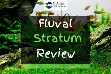 Fluval Stratum Substrate Review – Good for Planted Tanks?
