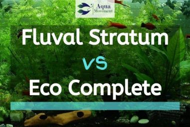 Fluval Stratum vs CaribSea Eco Complete