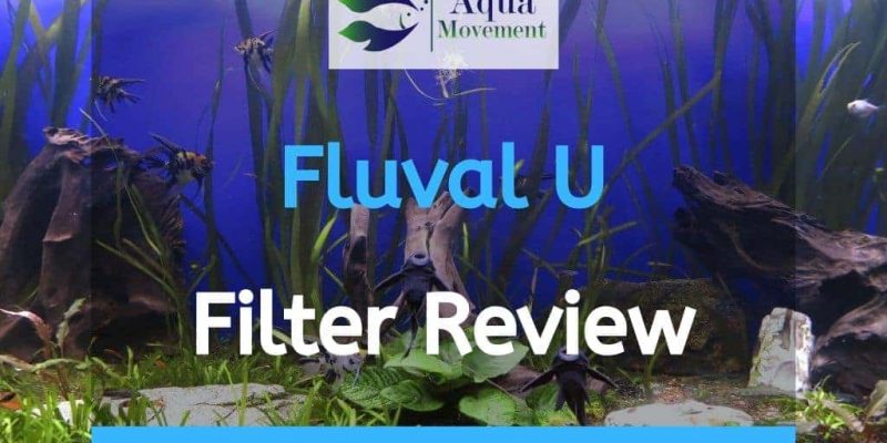 Fluval U (U1 U2 U3 U4) Series Underwater Filter Reviews