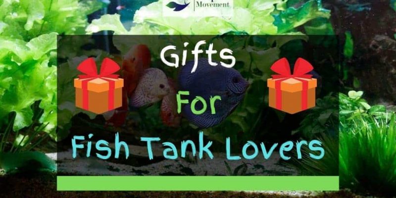 17 Gift Ideas for Fish Tank Lovers