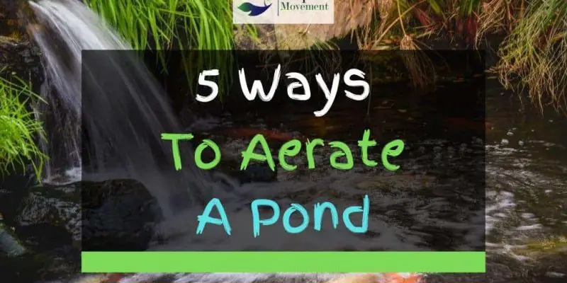 5 Ways To Aerate And Oxygenate A Pond