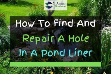 How To Find And Repair A Hole In A Pond Liner