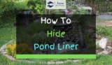 3 Ways On How To Hide Pond Liner
