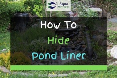 3 Ways On How To Hide Pond Liner