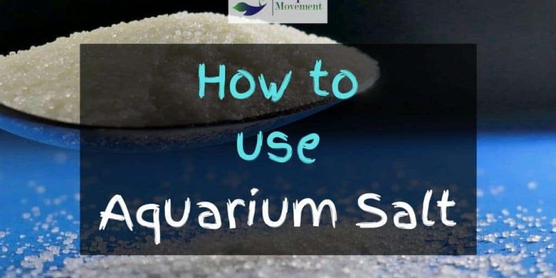 How to Use Aquarium Salt for Freshwater Fish