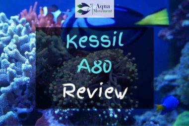 Kessil A80 Review – Worth The Money?