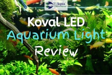 Koval LED Aquarium Light Review