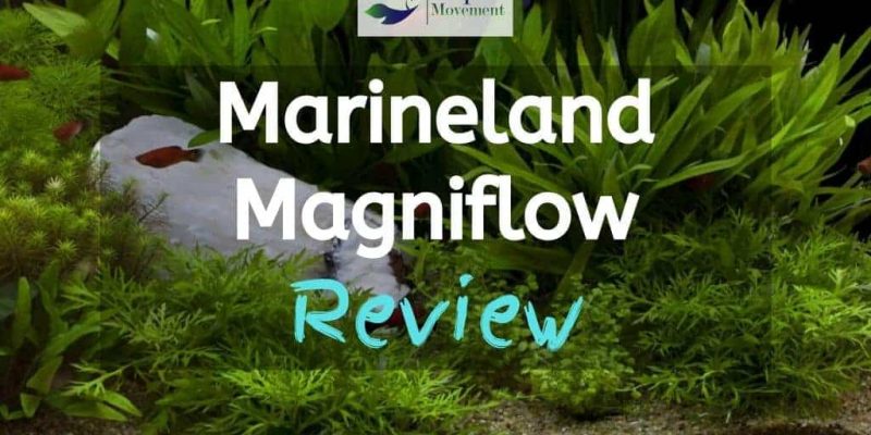 Marineland Magniflow 160 220 360 Review