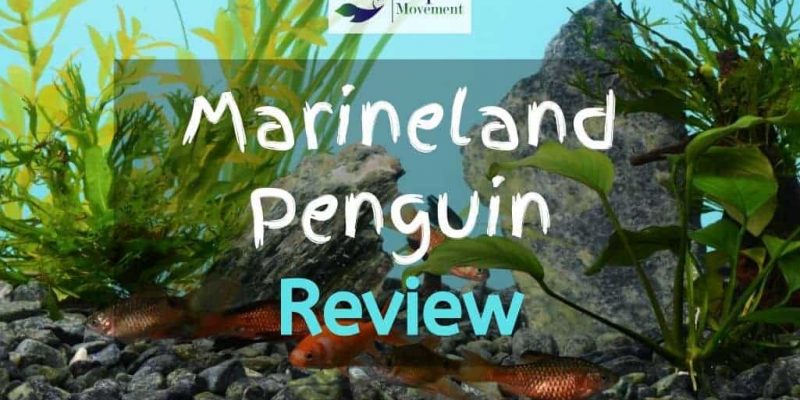 Marineland Penguin 350 200 150 100 Review