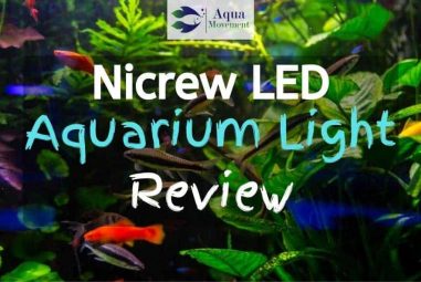 Nicrew ClassicLED Aquarium Light Review