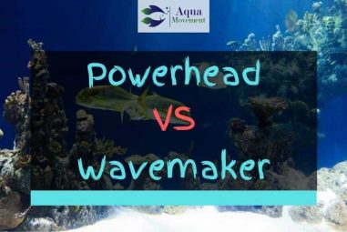 Powerhead vs Wavemaker – A Comparison