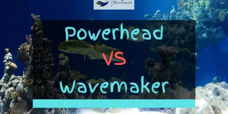 Powerhead vs Wavemaker – A Comparison