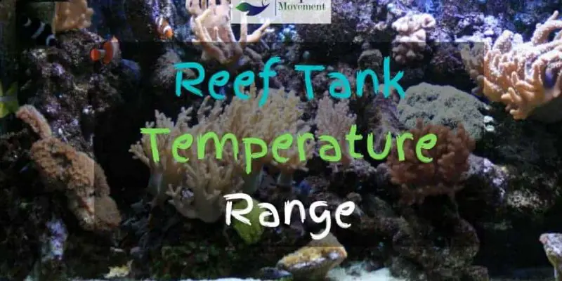 The Ideal Reef Tank Temperature Range